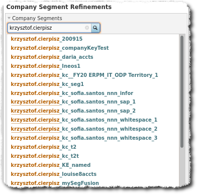 01.companySegments.png